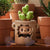 Découvrir le modèle Flower Pot Figurine Labubu The Monster Almost Hidden Series 12 Blinds Boxs - modèle Flower Pot - MaPelucheLabubu.fr | Adoptez votre Labubu : Peluches et Figurines Uniques